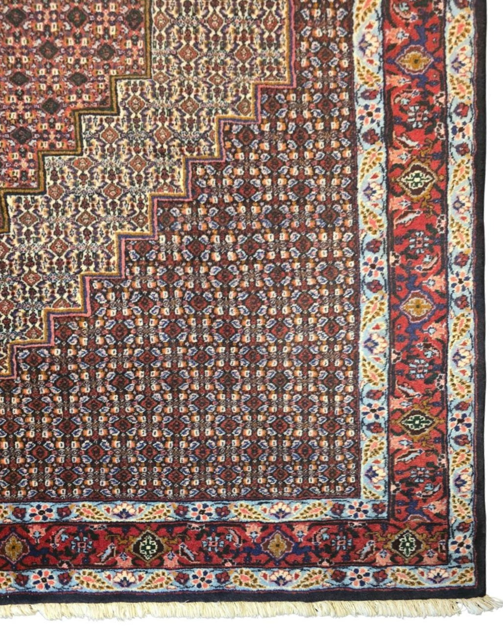 Perzisch tapijt Senneh 300x200 wollen vloerkleed Iran handegeknoopt