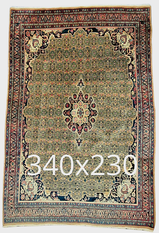 Perzisch tapijt Bidjar 340x230 wollen vloerkleed iran