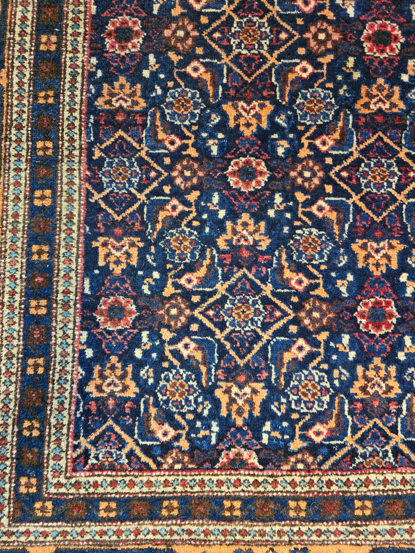 Perzisch tapijt Meshkin wollen vloerkleed handgeknoopt Iran