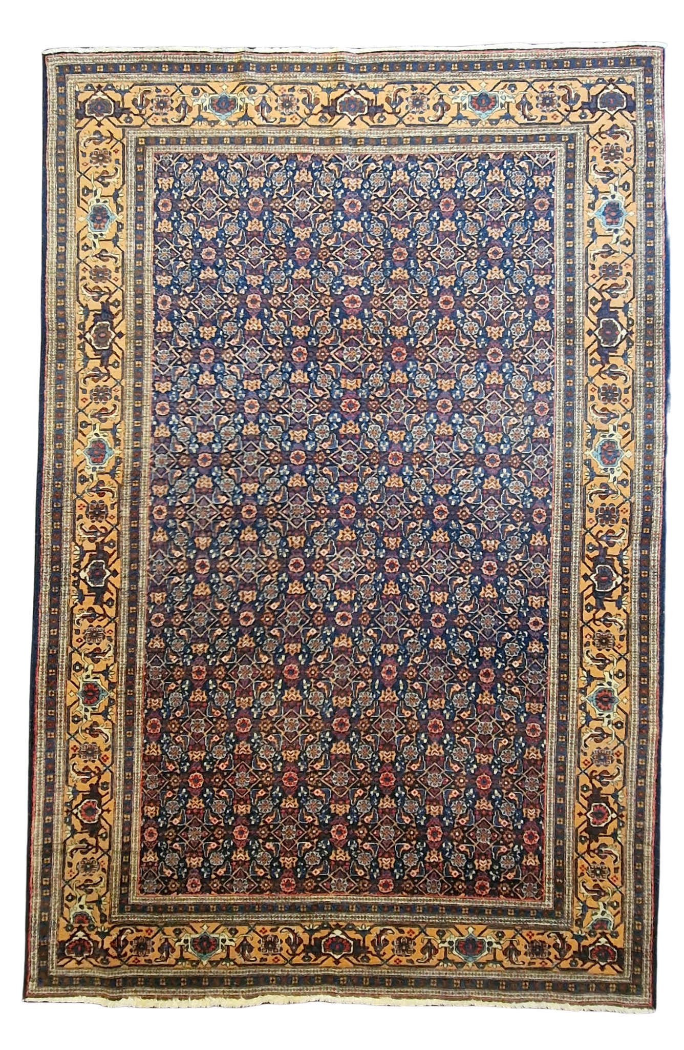 Perzisch tapijt Meshkin wollen vloerkleed handgeknoopt Iran