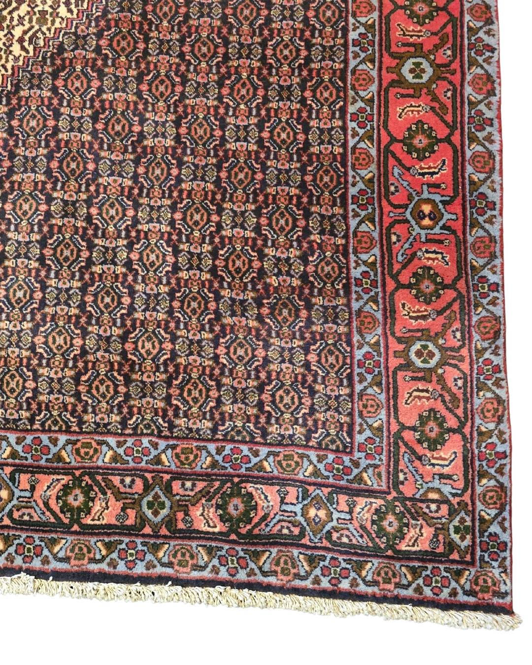 Groot perzisch tapijt Senneh 350x250 wollen vloerkleed handgeknoopt Iran