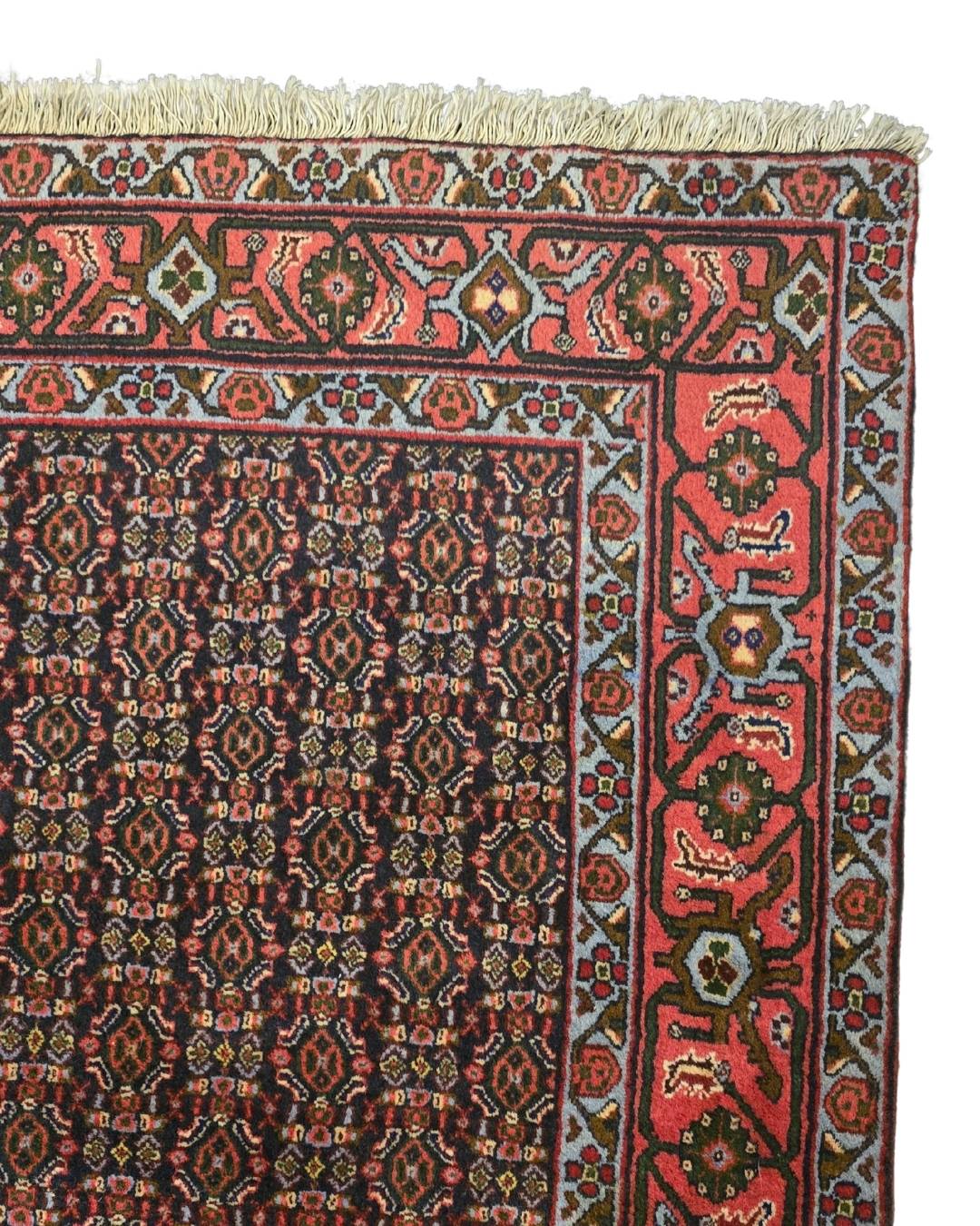 Groot perzisch tapijt Senneh 350x250 wollen vloerkleed handgeknoopt Iran