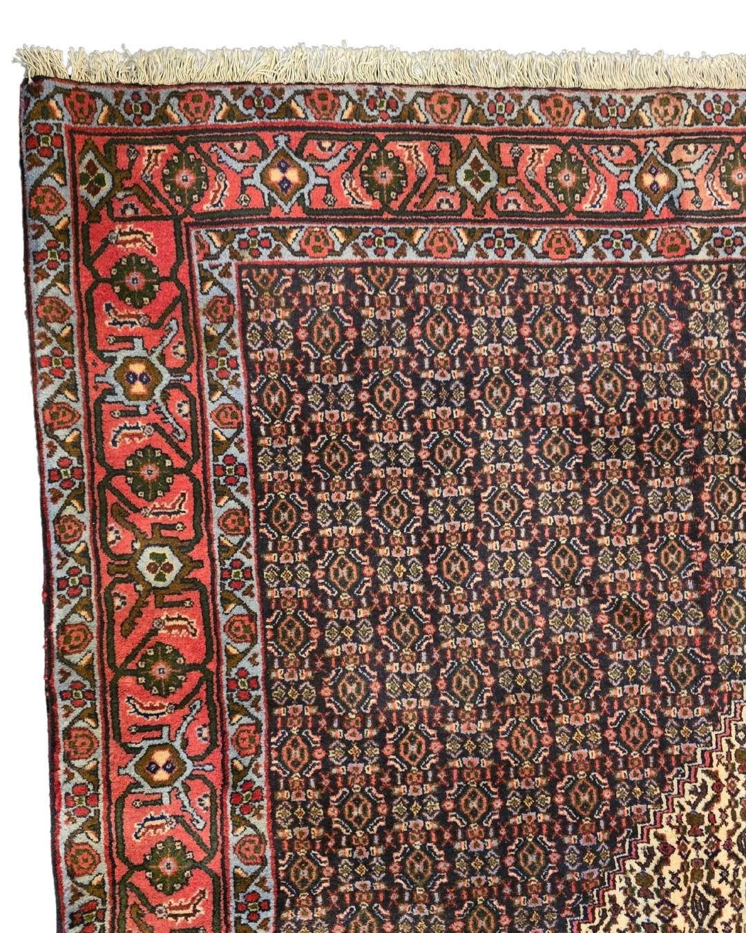 Groot perzisch tapijt Senneh 350x250 wollen vloerkleed handgeknoopt Iran