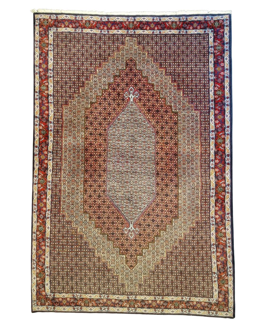 Perzisch tapijt Senneh 300x200 wollen vloerkleed Iran handegeknoopt