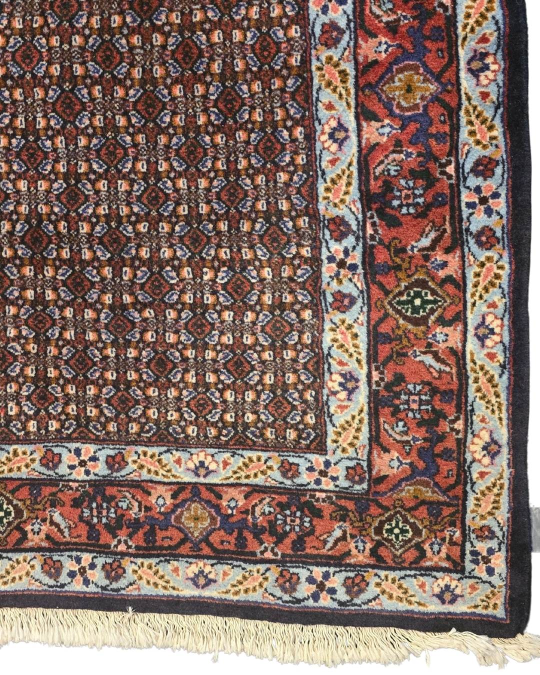 Perzisch tapijt Senneh 300x200 wollen vloerkleed Iran handegeknoopt
