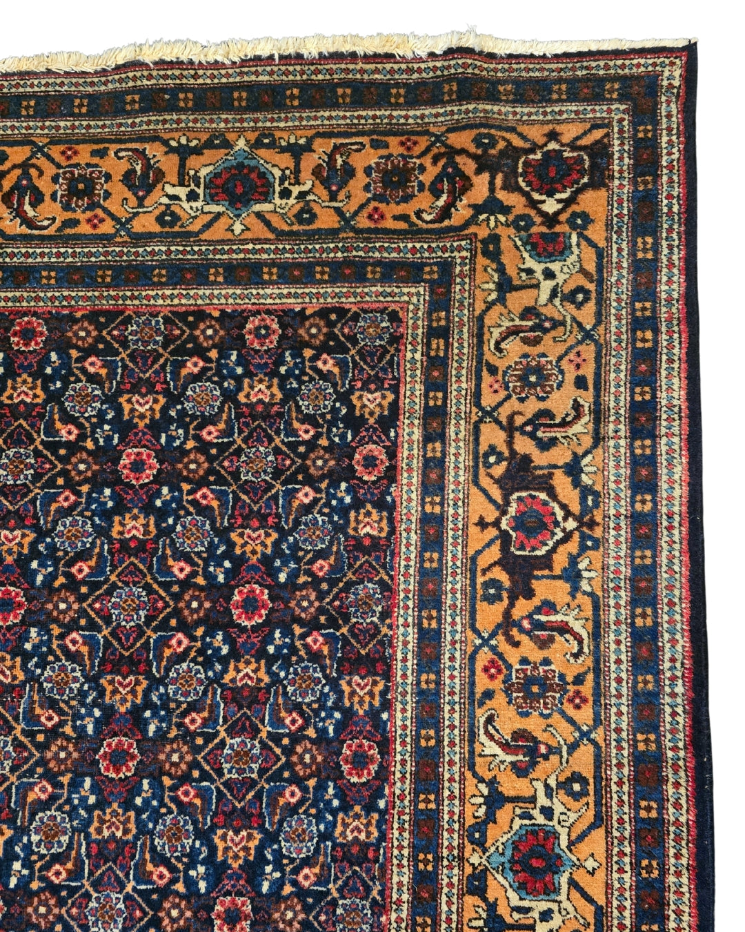 Perzisch tapijt Meshkin wollen vloerkleed handgeknoopt Iran