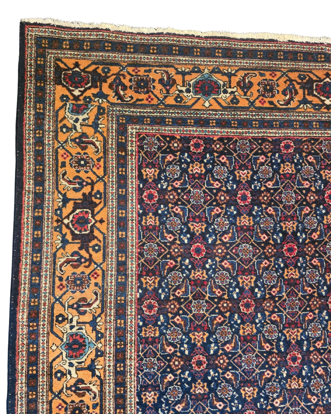 Perzisch tapijt Meshkin wollen vloerkleed handgeknoopt Iran