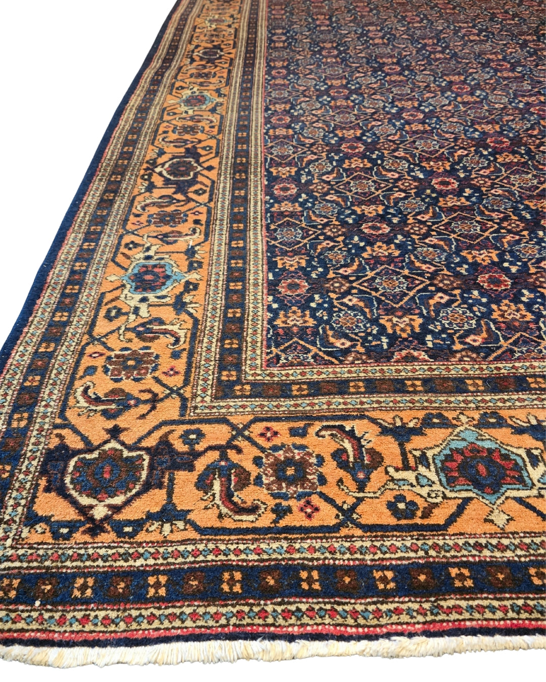 Perzisch tapijt Meshkin wollen vloerkleed handgeknoopt Iran