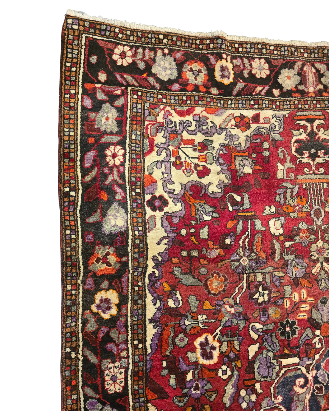 Perzisch tapijt Hamadan 310x185 wollen vloerkleed handgeknoopt Iran