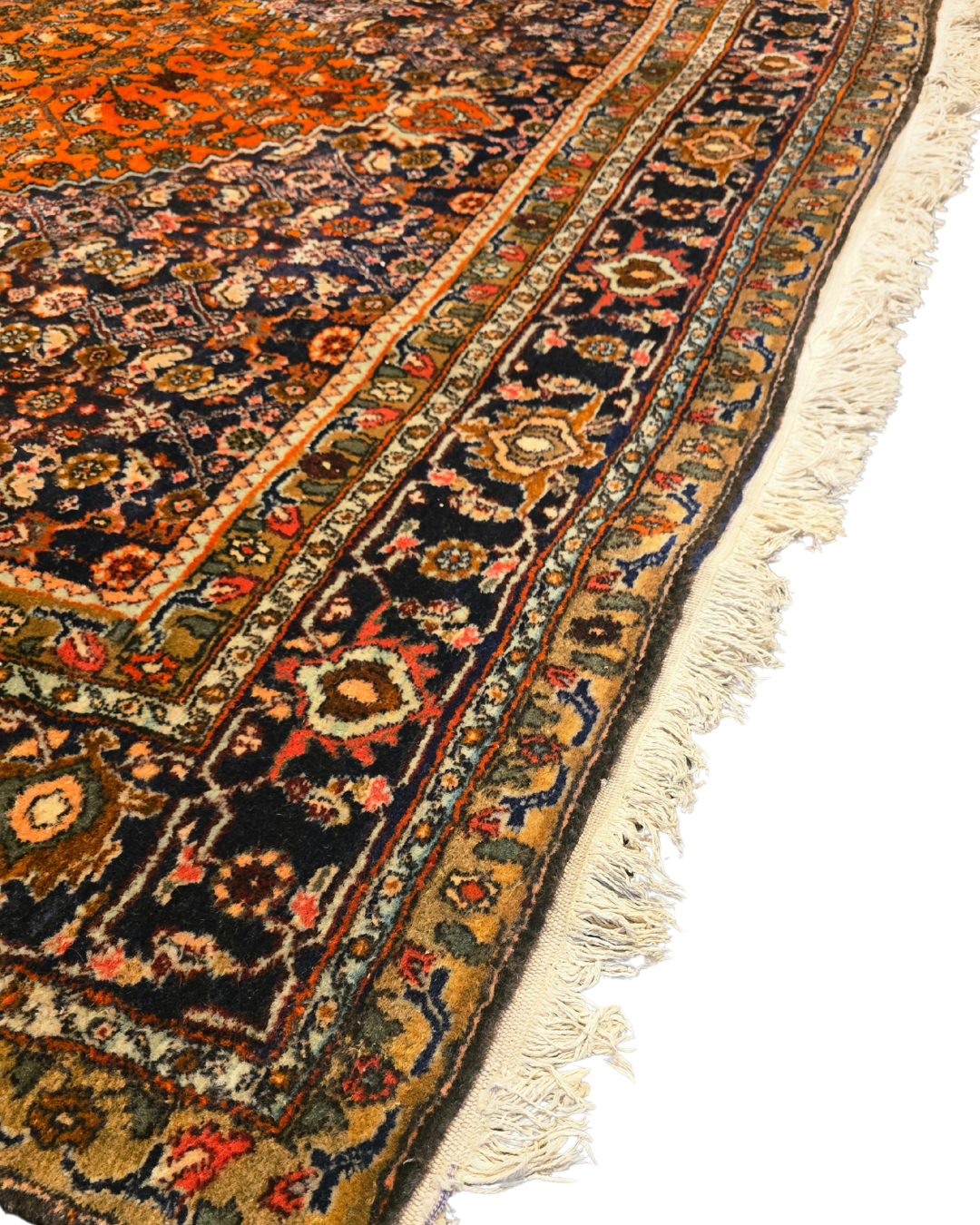 Perzisch Tapijt Bidjar 290x200 wollen vloerkleed handgeknoopt Iran