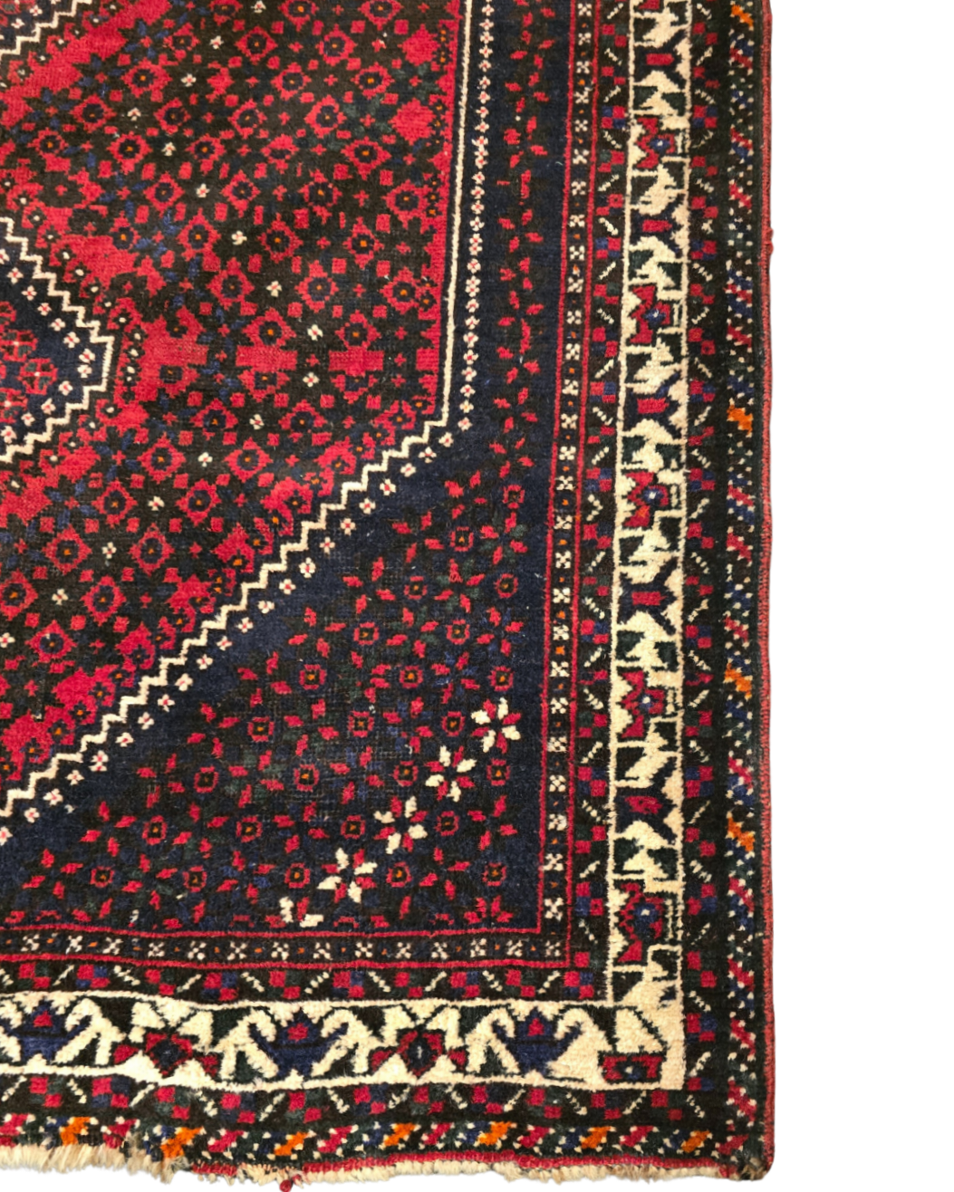 Perzisch tapijt Belluche 300x200 wollen vloerkleed handgeknoopt iran