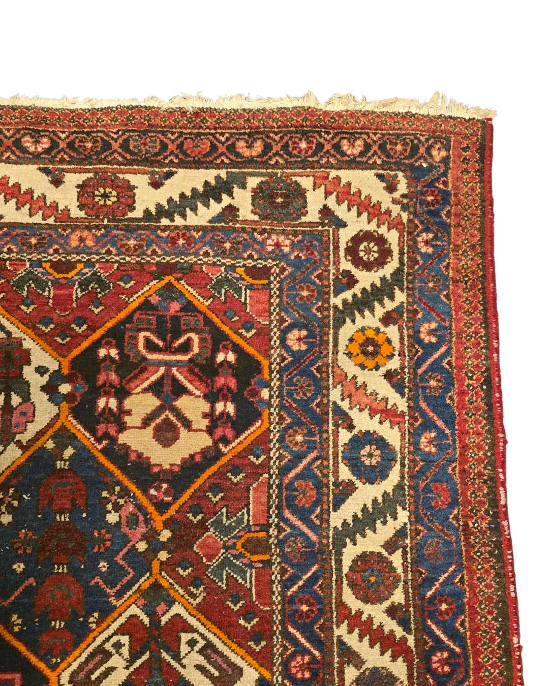 Perzich tapijt Baktihari 310x225 wollen vloerkleed handgeknoopt Iran