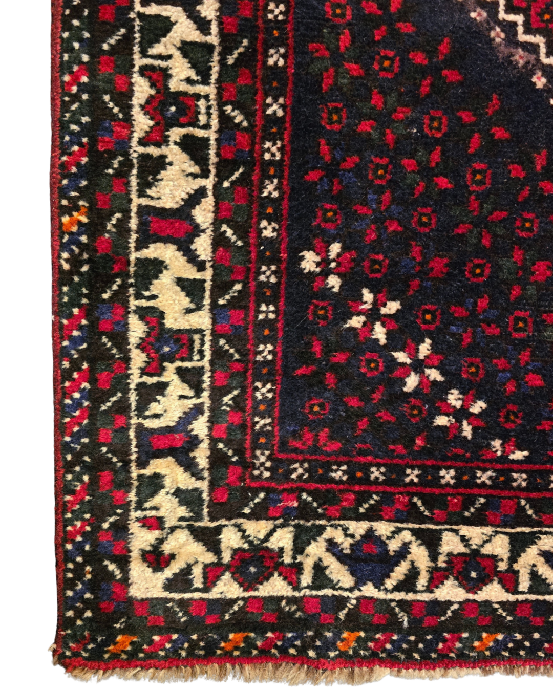 Perzisch tapijt Belluche 300x200 wollen vloerkleed handgeknoopt iran