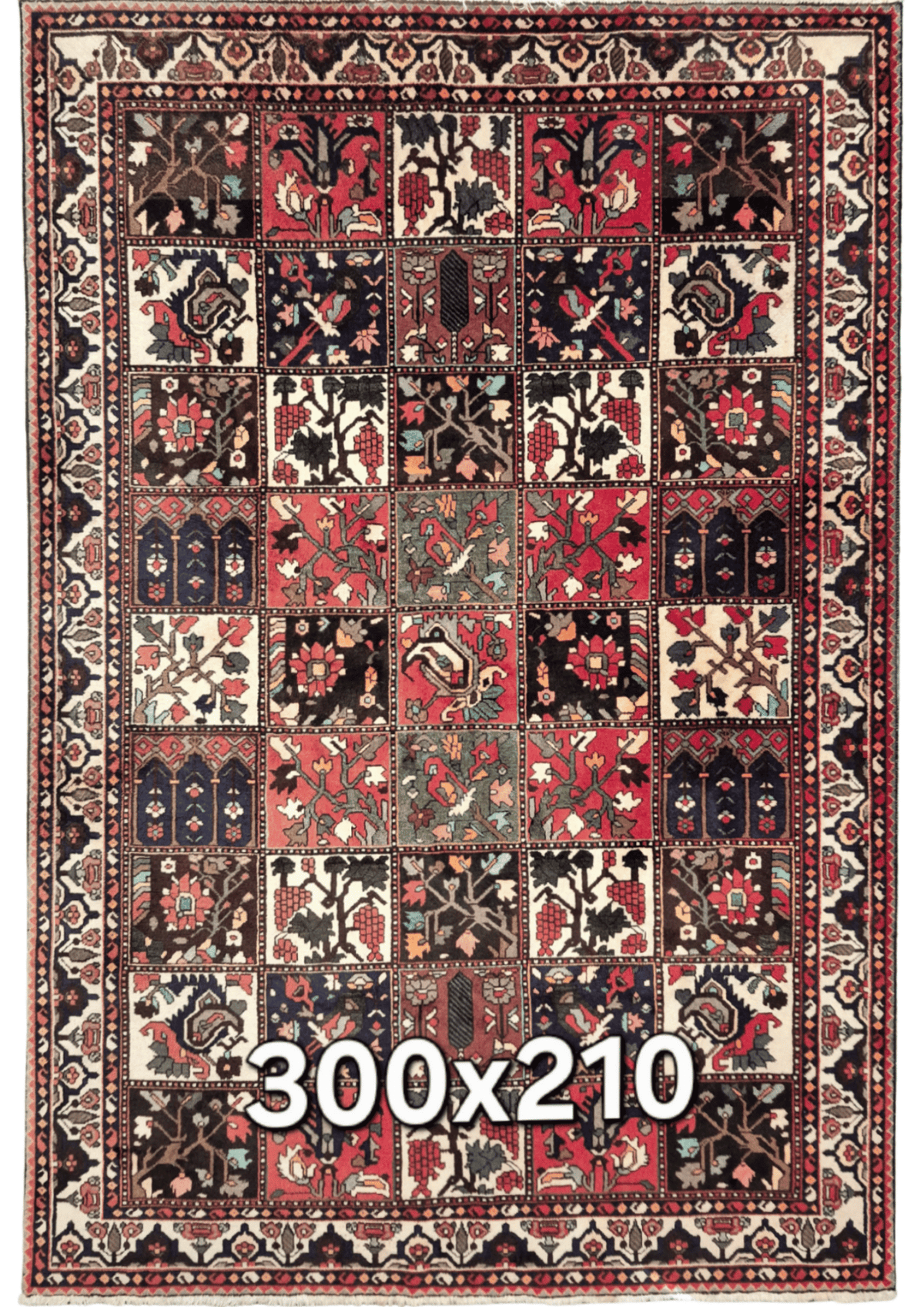 Perzisch tapijt baktihari 300x210 wollen vloerkleed iran