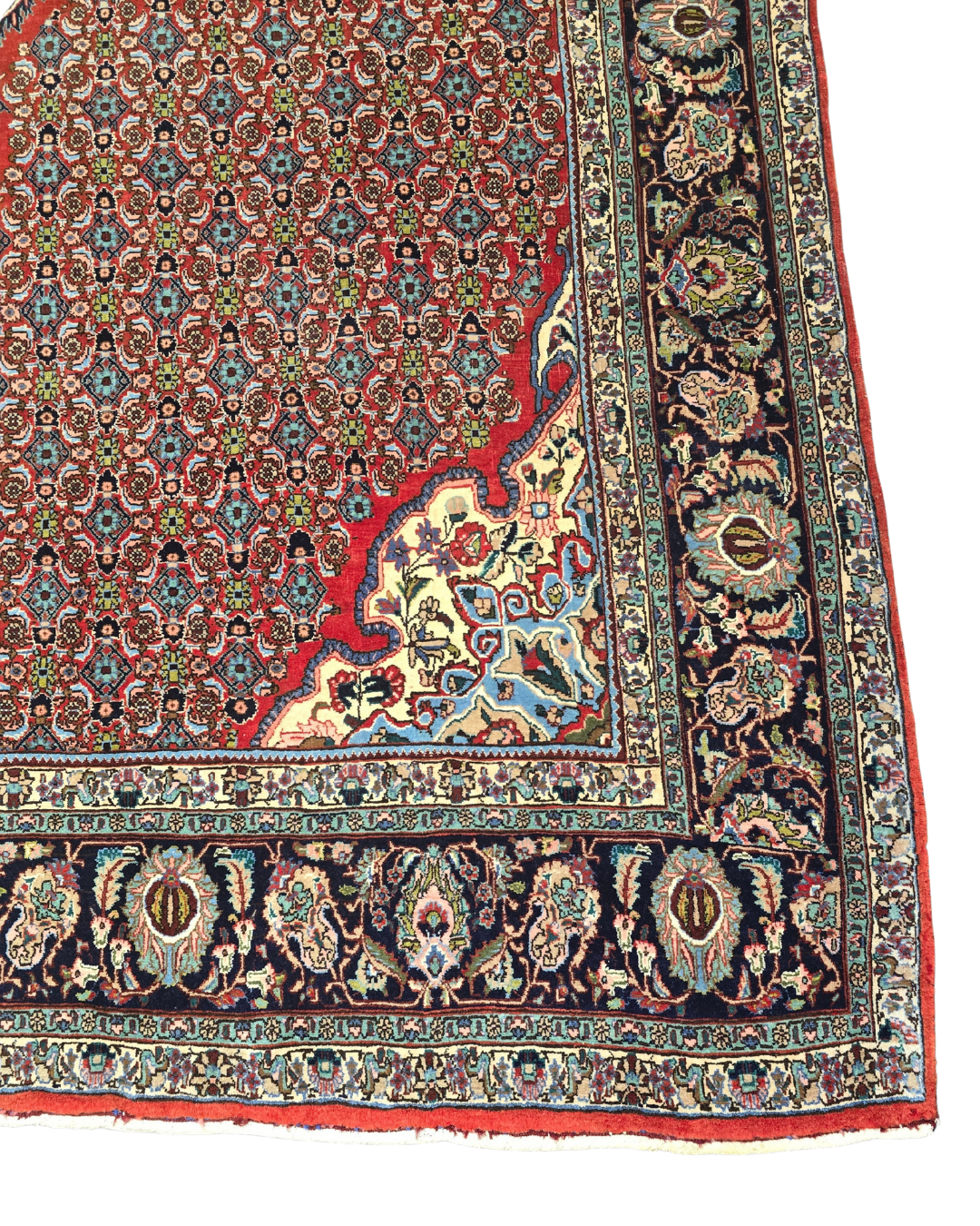 Groot Perzisch tapijt Bidjar 350x230 wollen vloerkleed handgeknoopt Iran