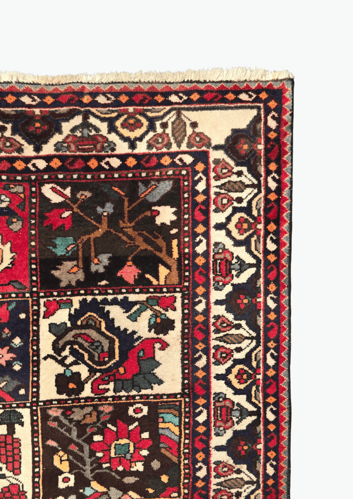 Perzisch tapijt baktihari 300x210 wollen vloerkleed iran
