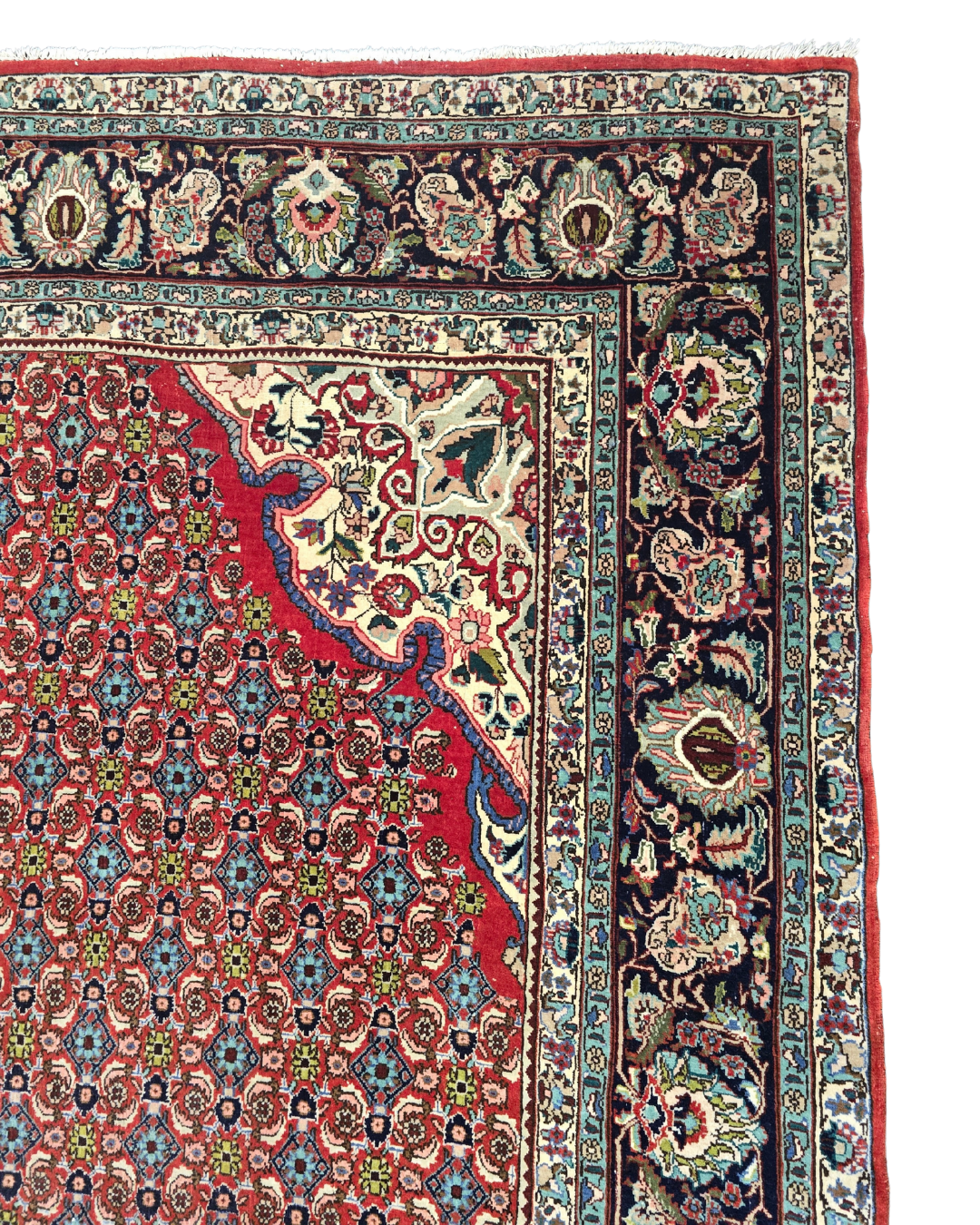 Groot Perzisch tapijt Bidjar 350x230 wollen vloerkleed handgeknoopt Iran