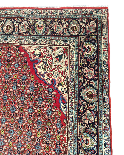 Groot Perzisch tapijt Bidjar 350x230 wollen vloerkleed handgeknoopt Iran