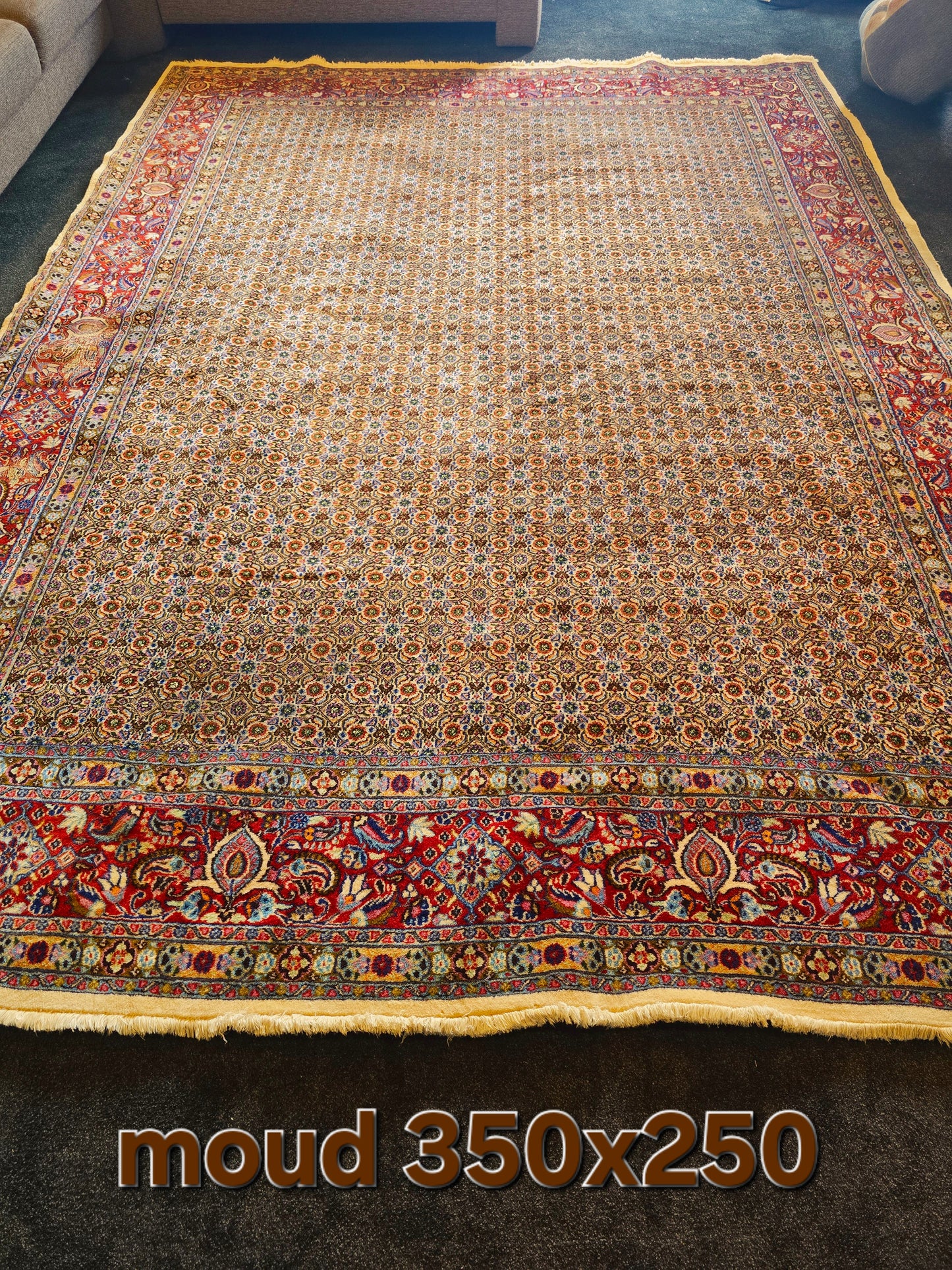 Groot Perzisch Tapijt Moud 350x250 handgeknoopt wollen vloerkleed