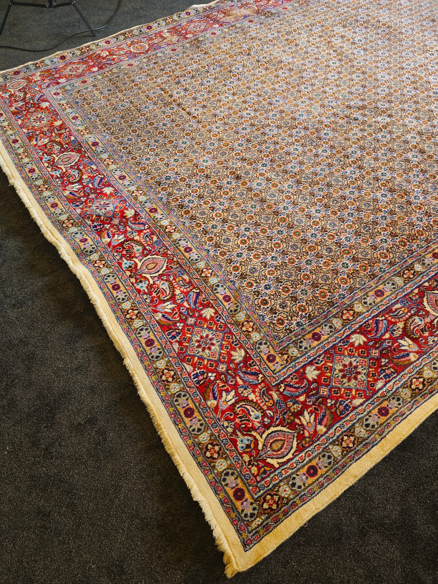 Groot Perzisch Tapijt Moud 350x250 handgeknoopt wollen vloerkleed