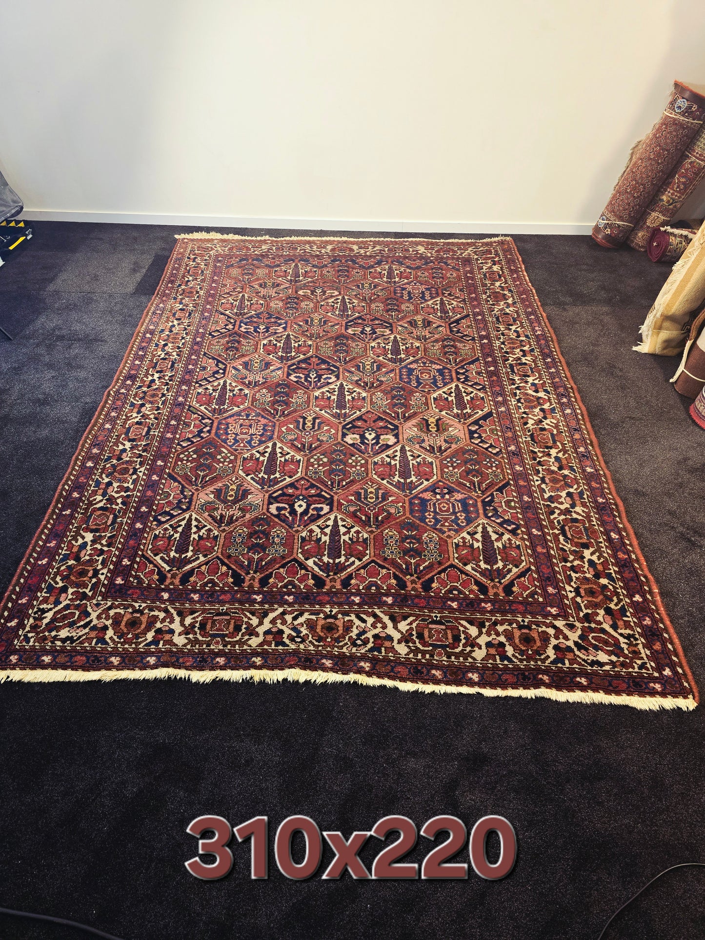 Perzisch tapijt Baktihari 300x220 wollen vloerkleed handgeknoopt iran