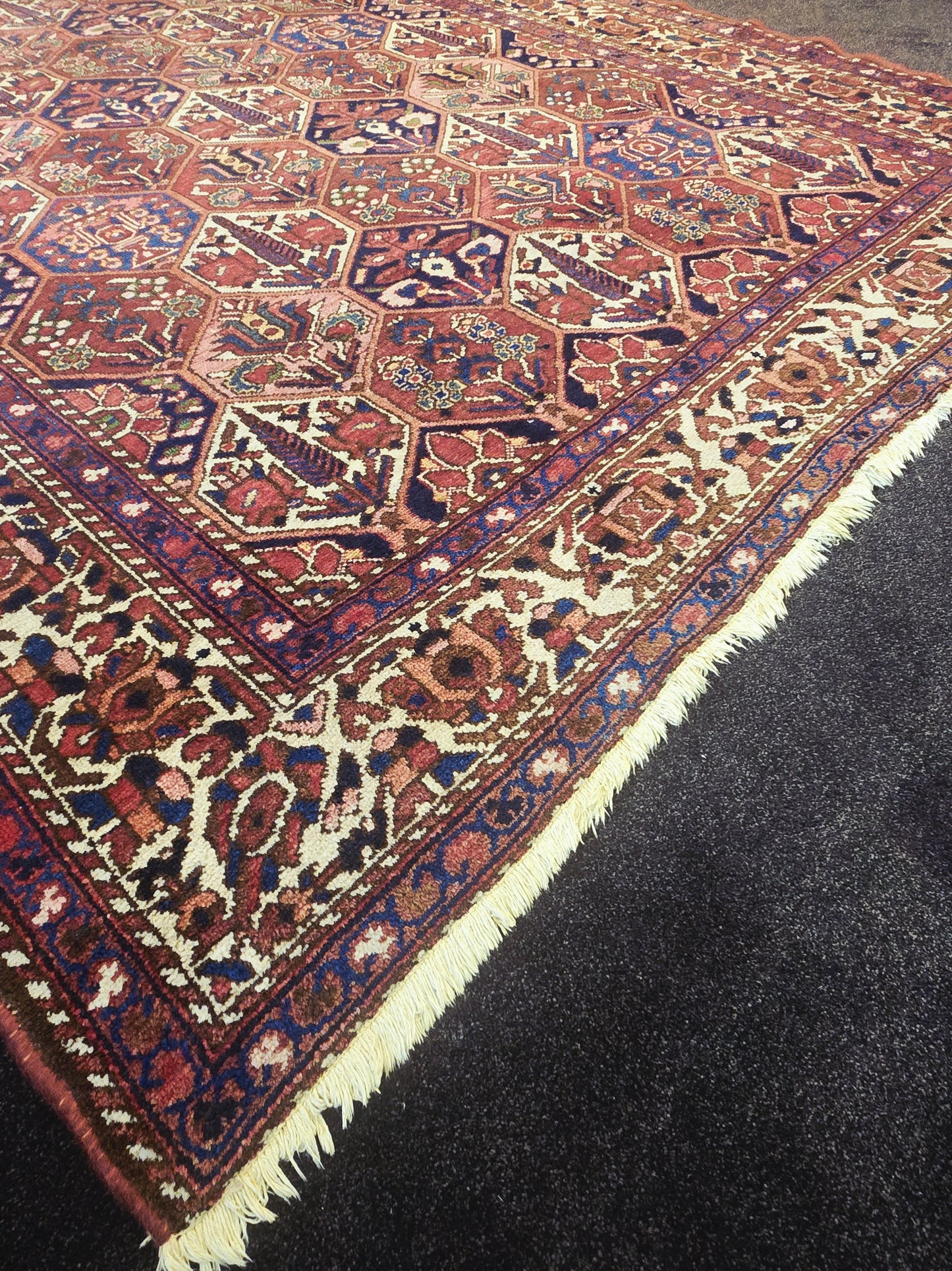 Perzisch tapijt Baktihari 300x220 wollen vloerkleed handgeknoopt iran