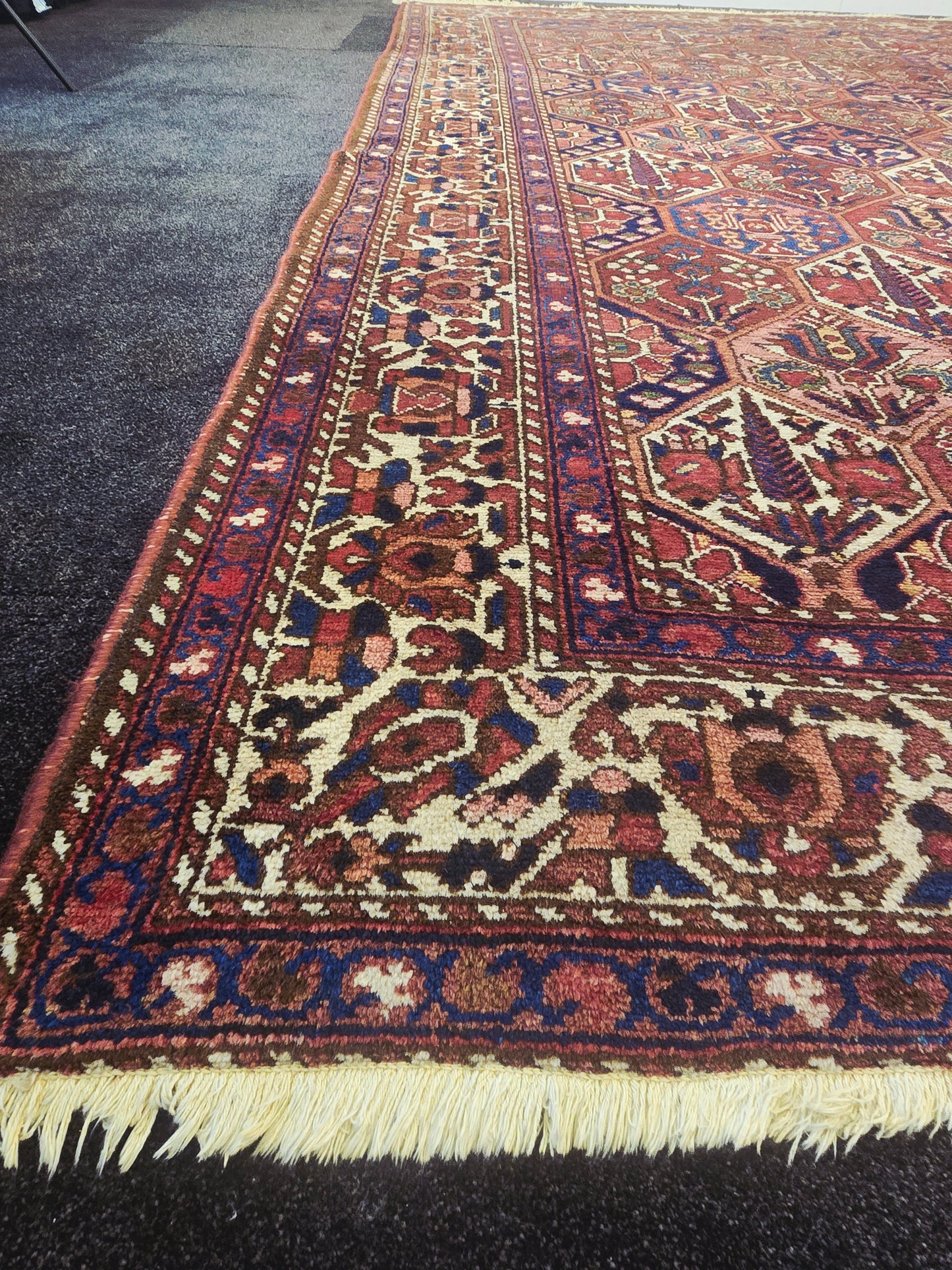 Perzisch tapijt Baktihari 300x220 wollen vloerkleed handgeknoopt iran