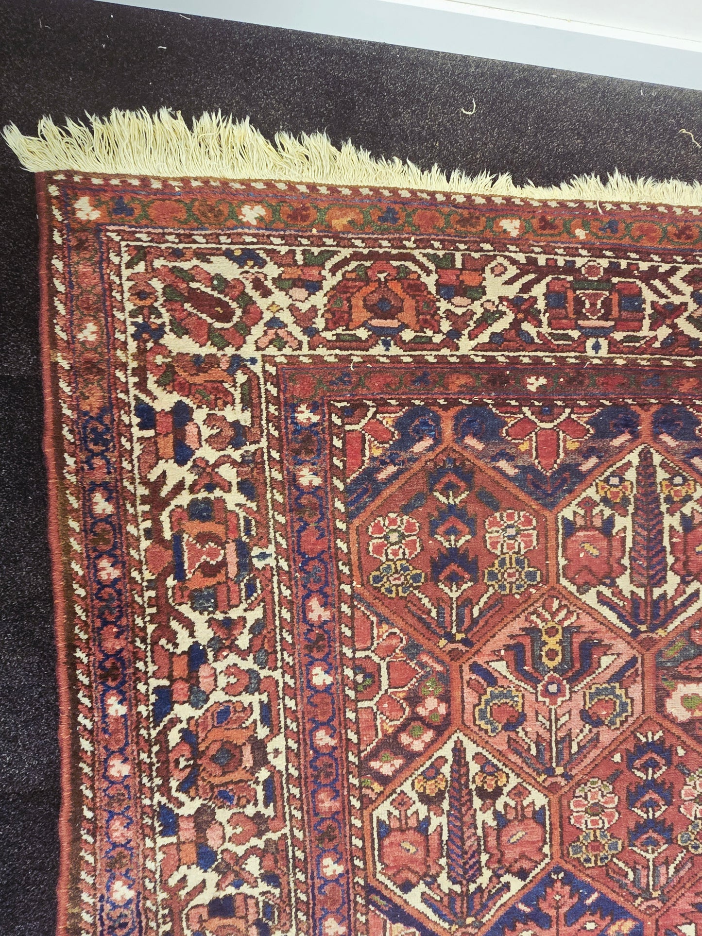 Perzisch tapijt Baktihari 300x220 wollen vloerkleed handgeknoopt iran