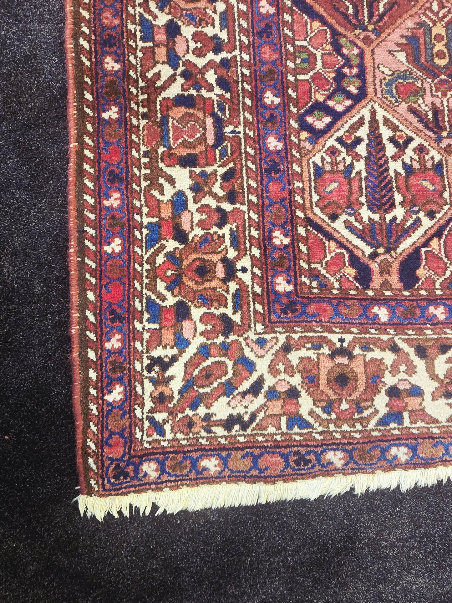 Perzisch tapijt Baktihari 300x220 wollen vloerkleed handgeknoopt iran