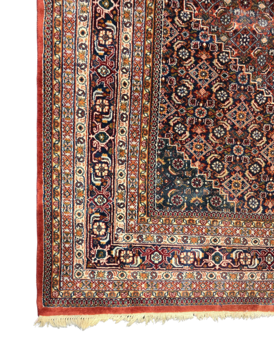 Groot Perzisch Tapijt Bidjar 350x250 wollen vloerkleed handgeknoopt