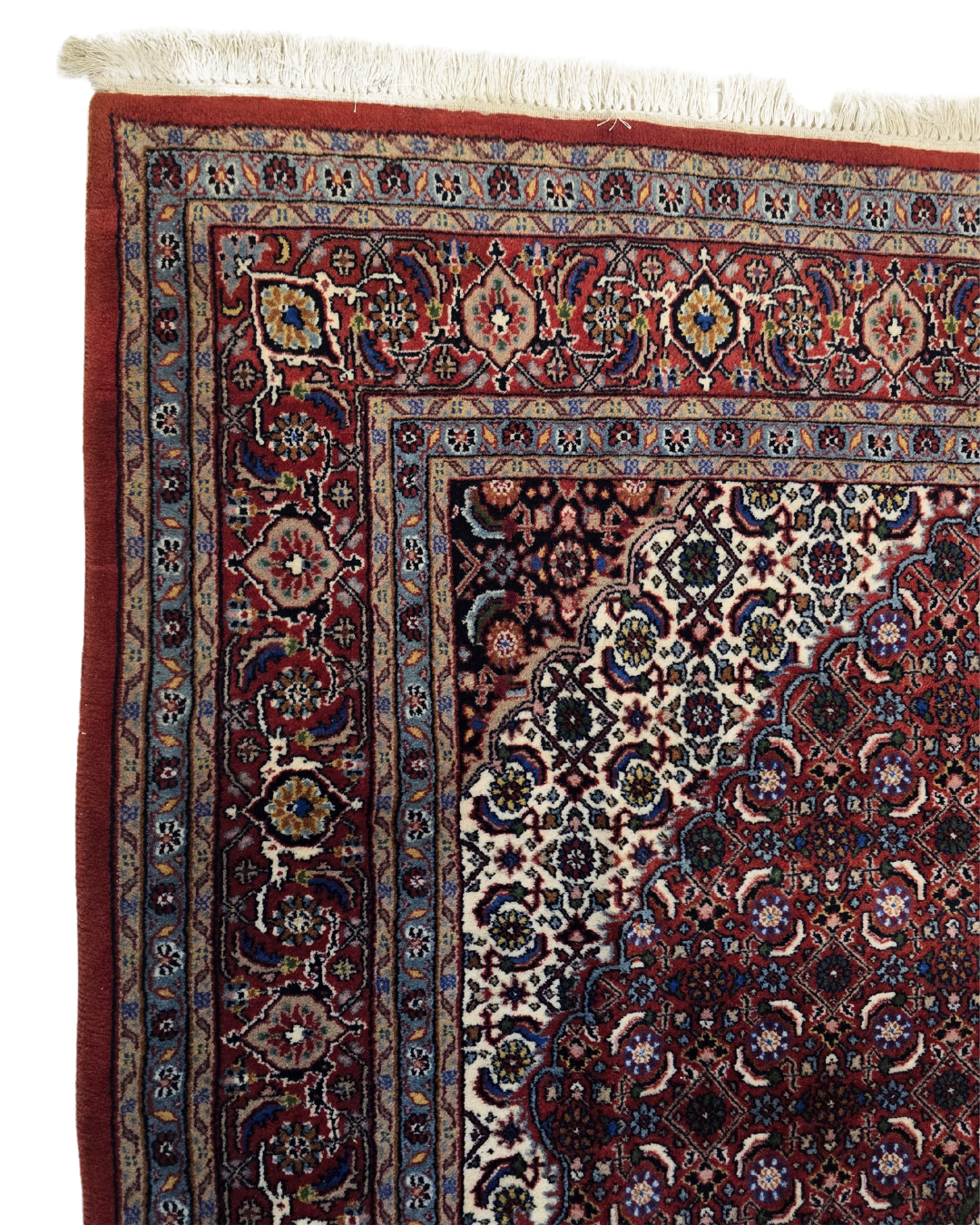 Perzisch tapijt bidjar 300x200 wollen vloerkeed handgeknoopt iran