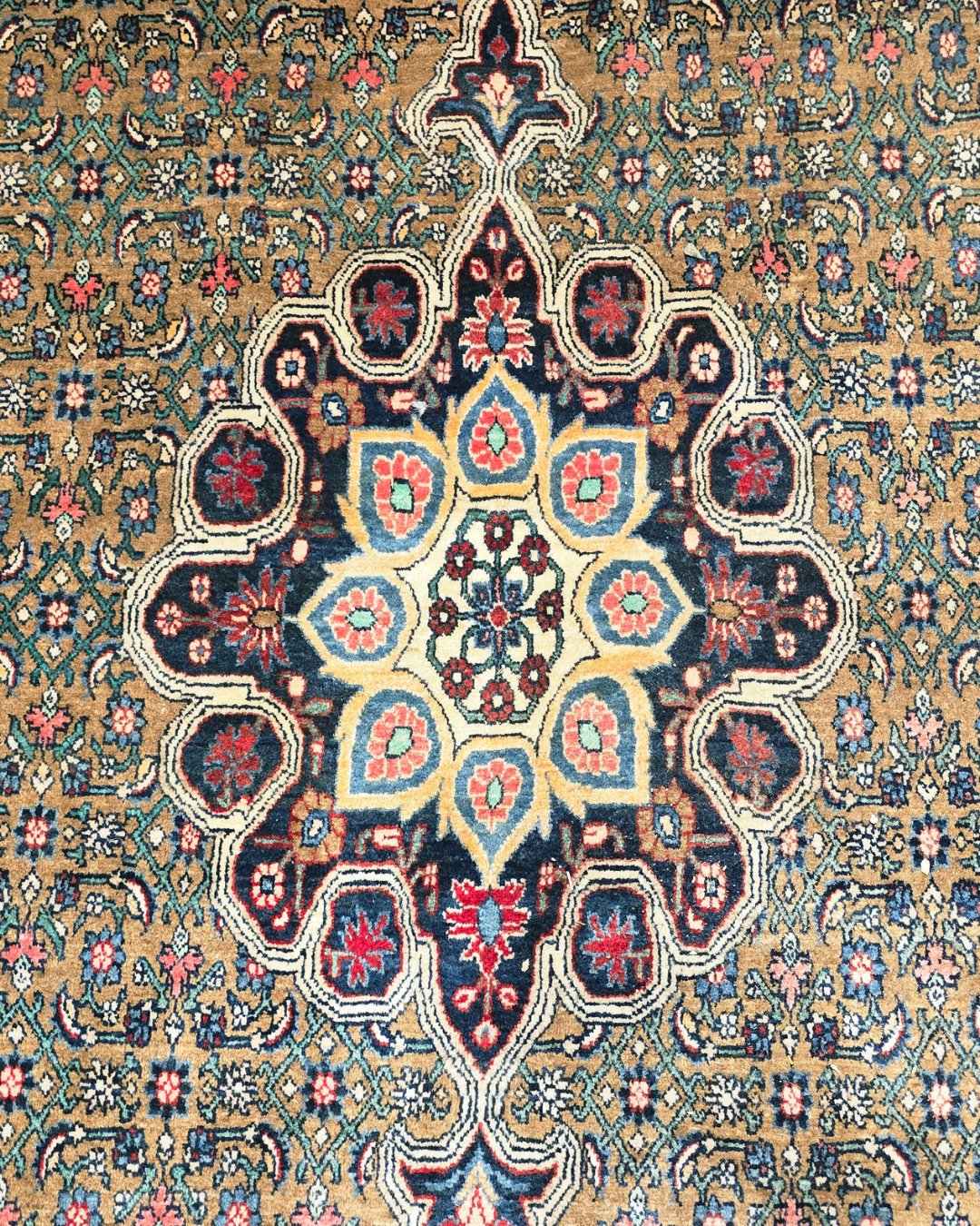 Perzisch tapijt Bidjar 340x230 wollen vloerkleed iran