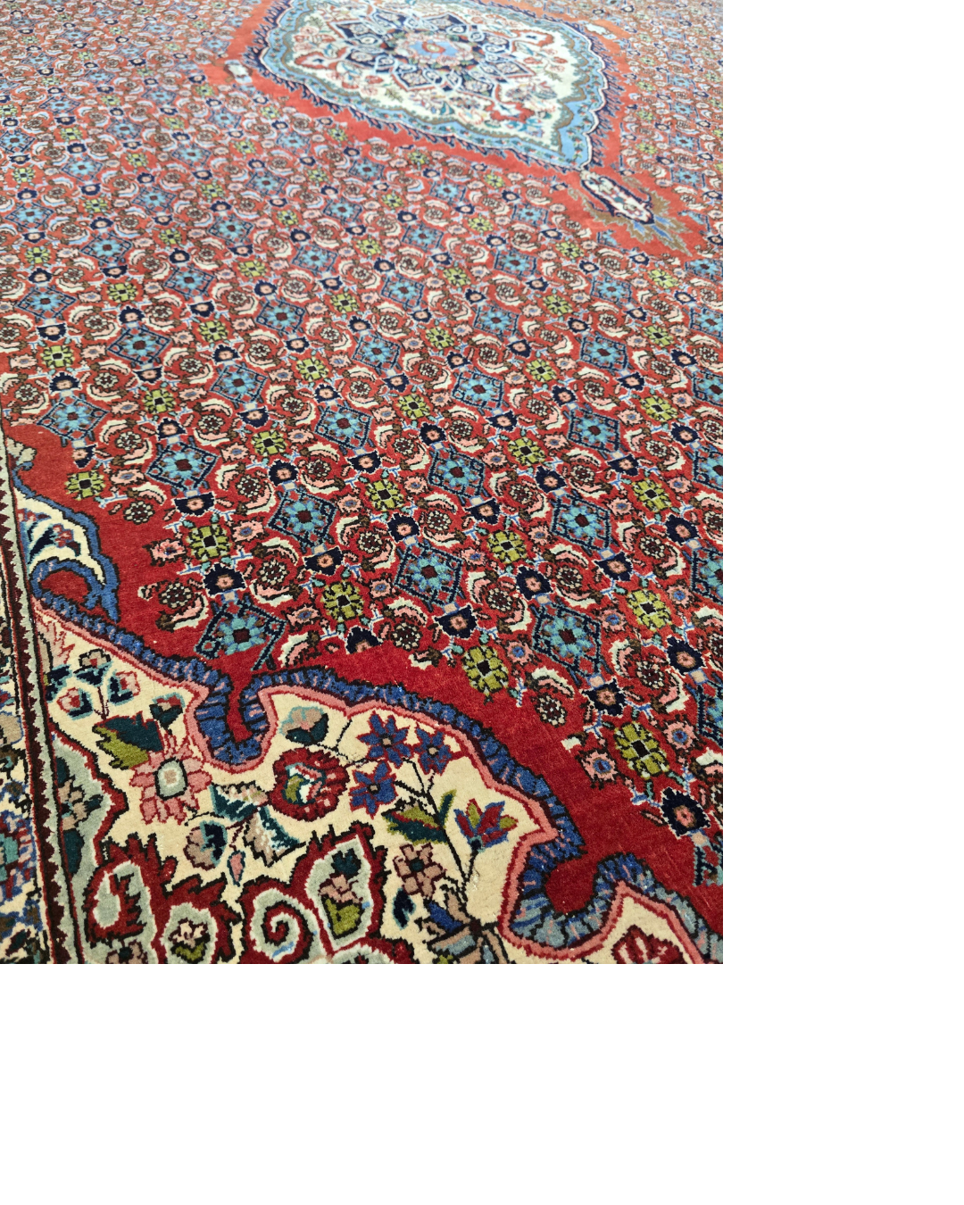 Groot Perzisch tapijt Bidjar 350x230 wollen vloerkleed handgeknoopt Iran