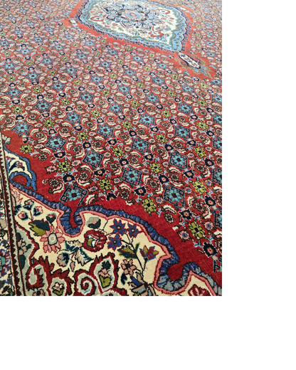 Groot Perzisch tapijt Bidjar 350x230 wollen vloerkleed handgeknoopt Iran