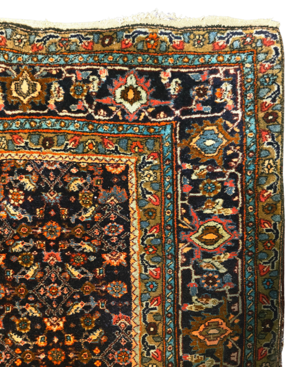 Perzisch Tapijt Bidjar 290x200 wollen vloerkleed handgeknoopt Iran