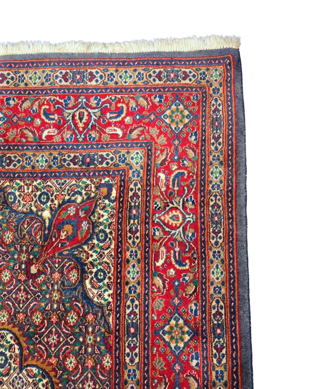 Perzisch tapijt Moud 307x206 wollen vloerkleed Iran