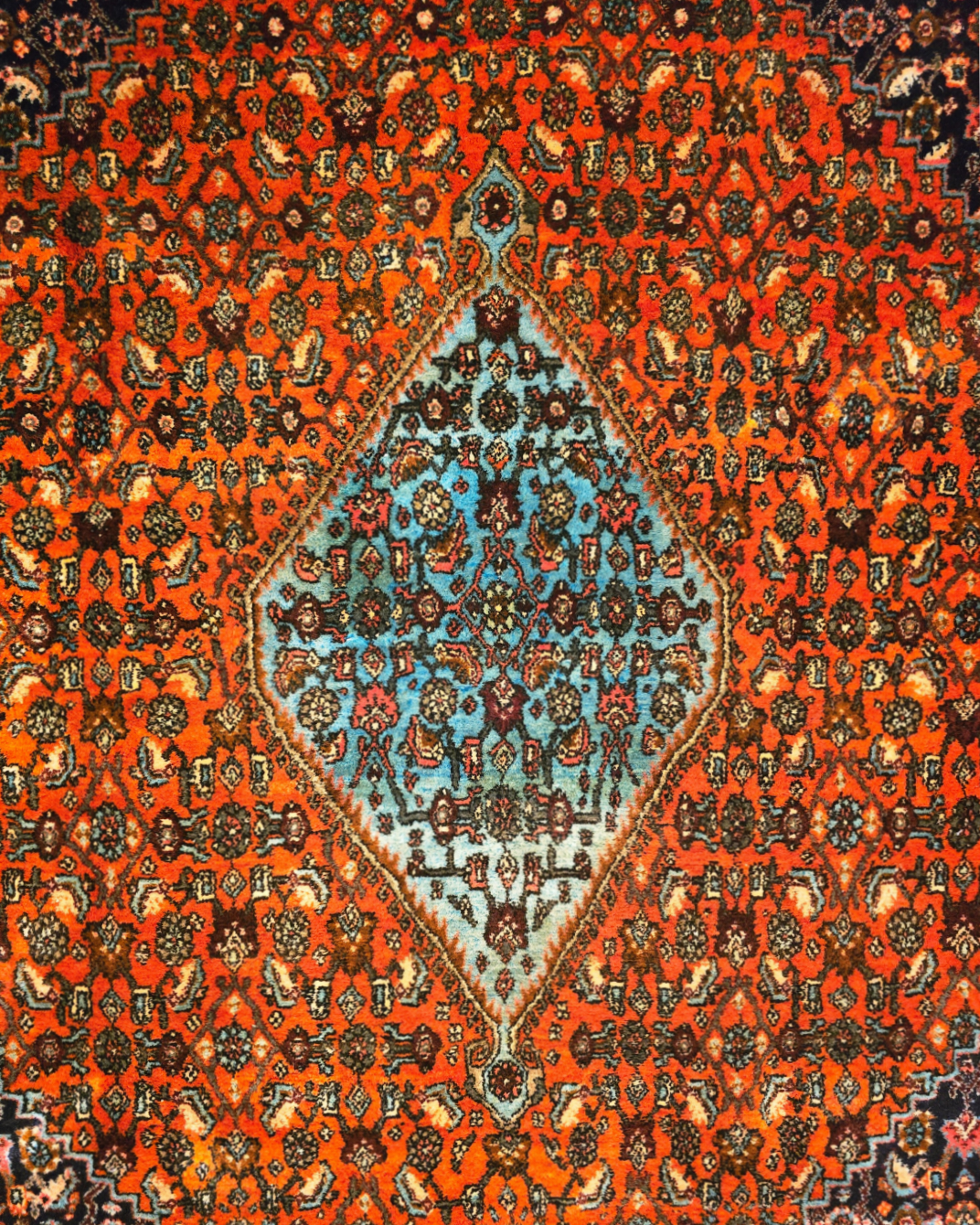 Perzisch Tapijt Bidjar 290x200 wollen vloerkleed handgeknoopt Iran