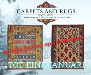 Berber tapijt 240x170 wollen vloerkleed handgeknoopt Marokko