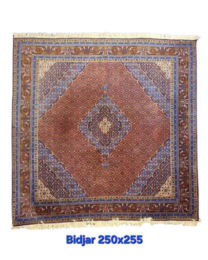 Perzisch tapijt Bidjar 255x250 wollen vloerkleed Iran Handgeknoopt