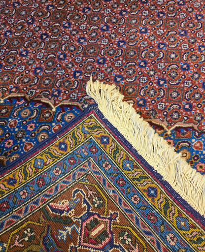 Perzisch tapijt Bidjar 255x250 wollen vloerkleed Iran Handgeknoopt