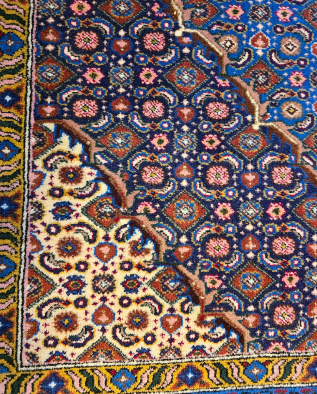 Perzisch tapijt Bidjar 255x250 wollen vloerkleed Iran Handgeknoopt