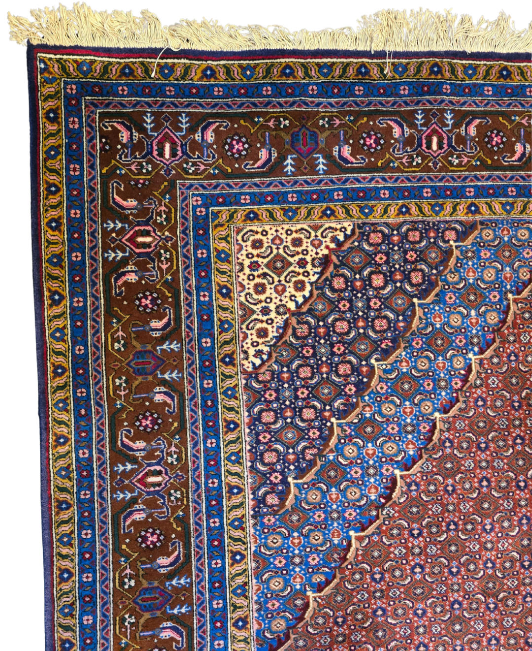 Perzisch tapijt Bidjar 255x250 wollen vloerkleed Iran Handgeknoopt