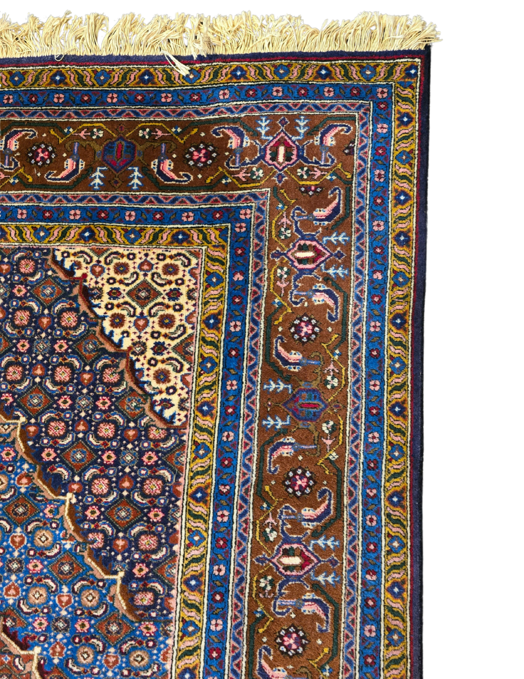 Perzisch tapijt Bidjar 255x250 wollen vloerkleed Iran Handgeknoopt