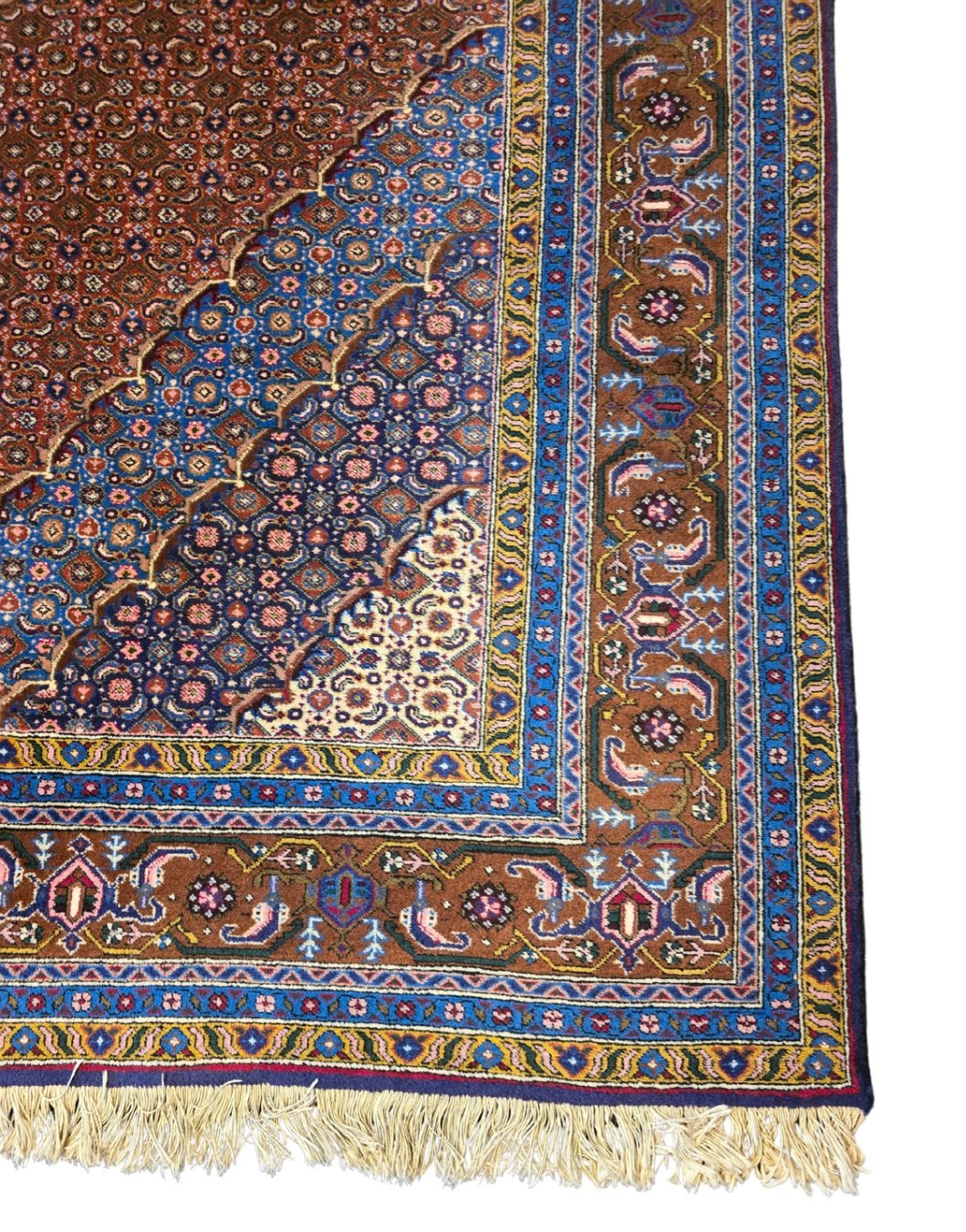 Perzisch tapijt Bidjar 255x250 wollen vloerkleed Iran Handgeknoopt