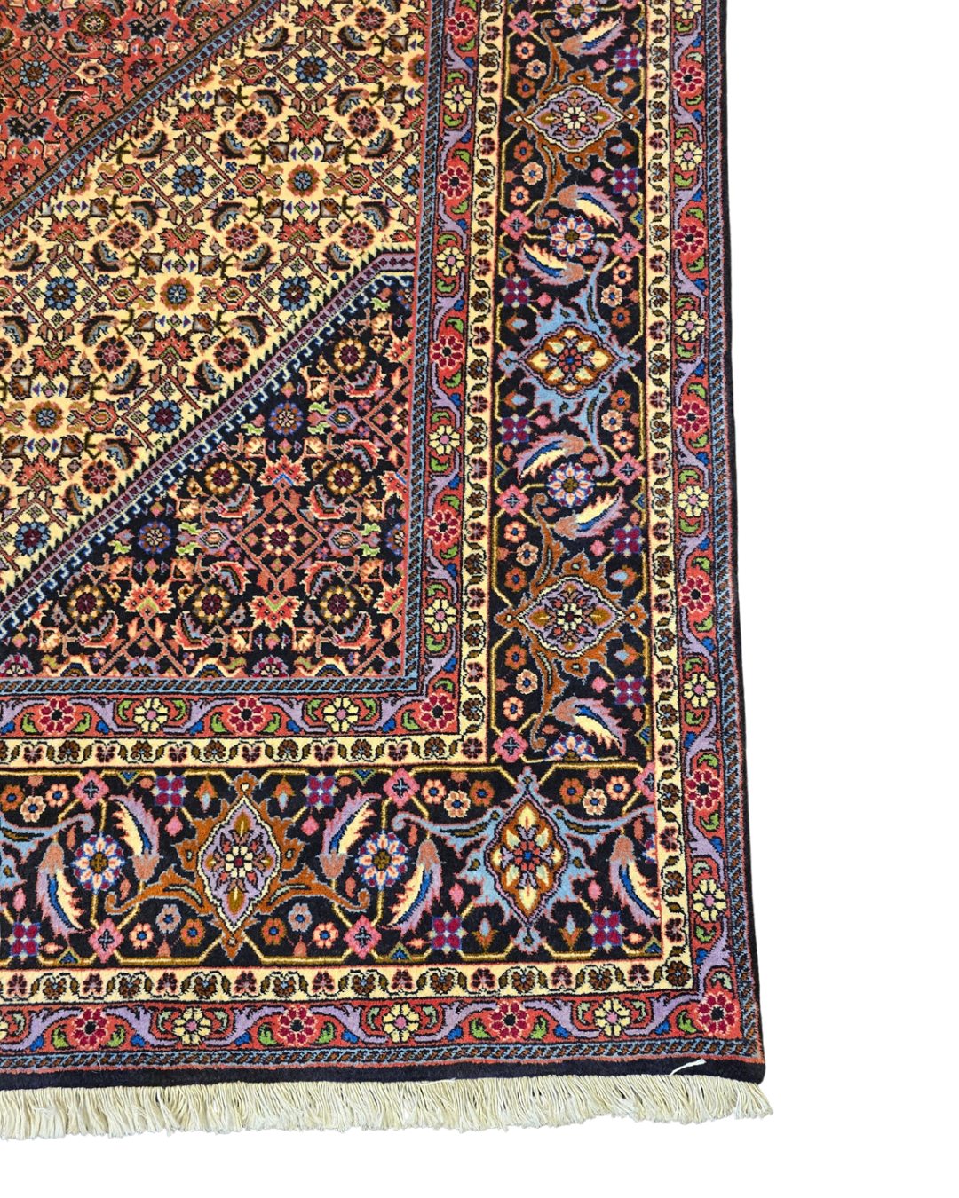 Groot Perzisch tapijt Bidjar 300x250 wollen vloerkleed Iran