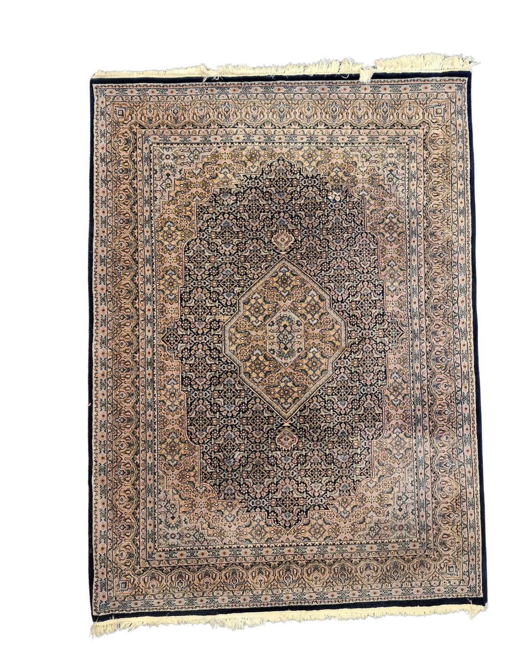 Perzisch tapijt Bidjar 240x170 wollen vloerkleed handgeknoopt