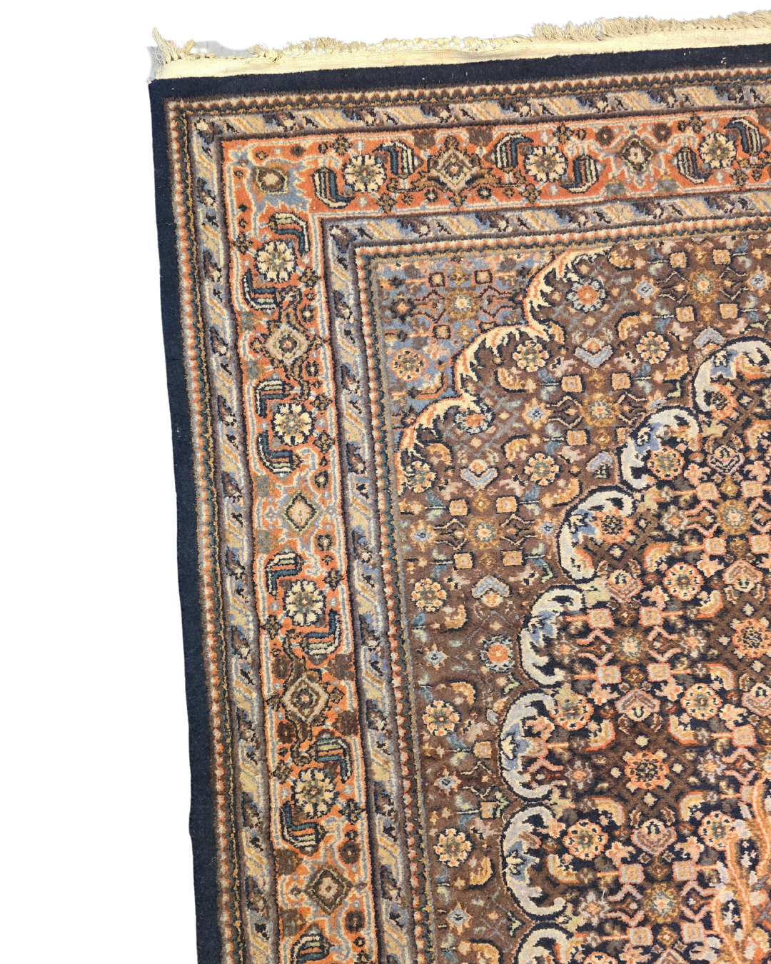 perzisch tapijt Bidjar 250x170 wollen vloerkleed handgeknoopt